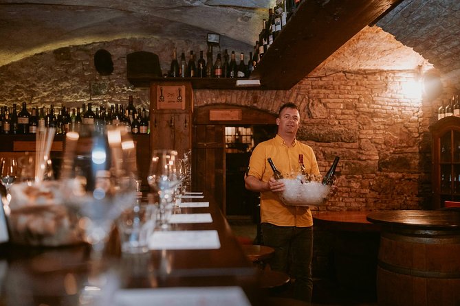2-Hour Interactive Wine Tasting Experience in Ljubljana - What the $72.59 Price Really Includes
