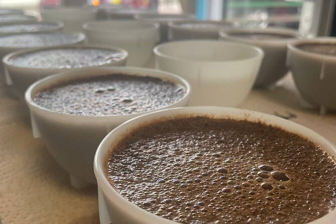 2-Hour Specialty Coffee tasting in Ljubljana - Key points to know before booking