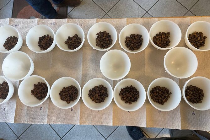 2-Hour Specialty Coffee tasting in Ljubljana - Meeting a trainer with competition-level tasting experience