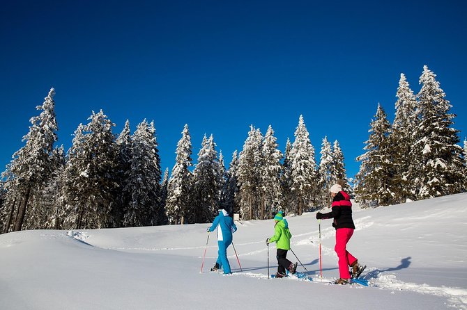 3-Hour Guided Snowshoeing Adventure in the Slovenian Alps - Five useful things to know before you book