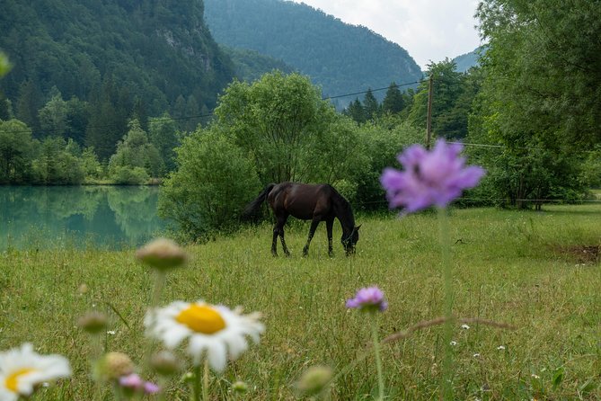 7 Alpine Wonders- Day Tour Bled, Soca valley, Slovenia - Starting in Bled and crossing Radovna Valley