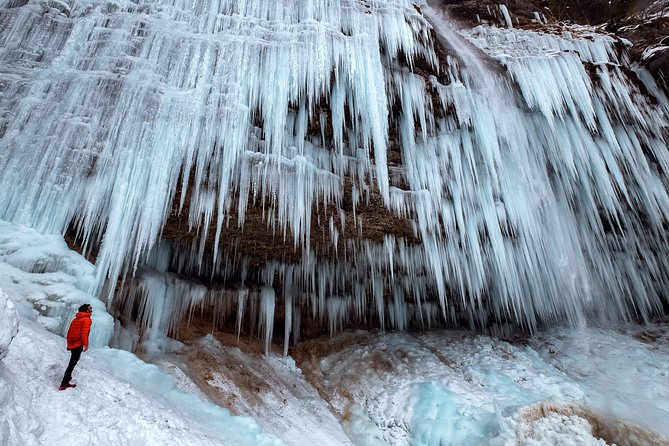 7 Alpine Wonders: Winter Edition - Why this Bled winter tour works