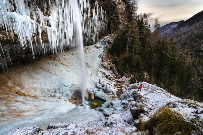 7 Alpine Wonders: Winter Edition - Zelenci Nature Reserve and its emerald spring