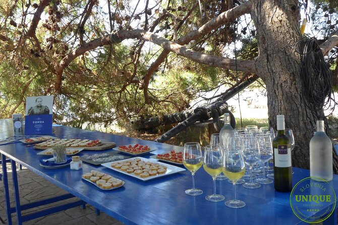 An Unforgettable Day With Fish, Wine and Olive Oil Tasting - What makes the fish garden worth your time