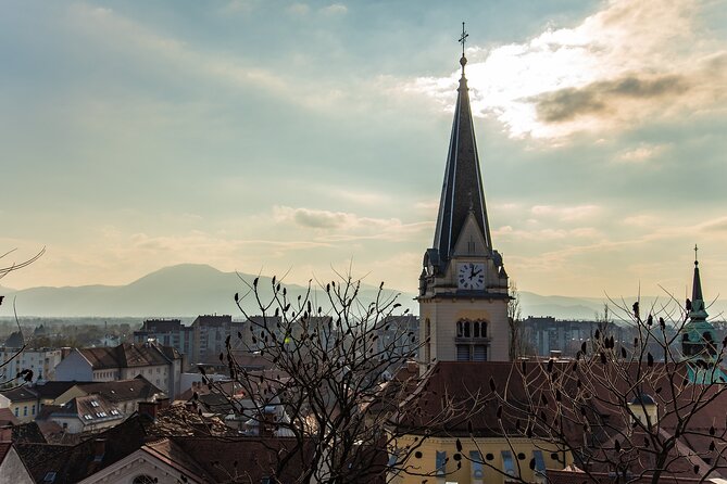Architectural Ljubljana: Private Tour with a Local Expert - The National and University Library as the finish
