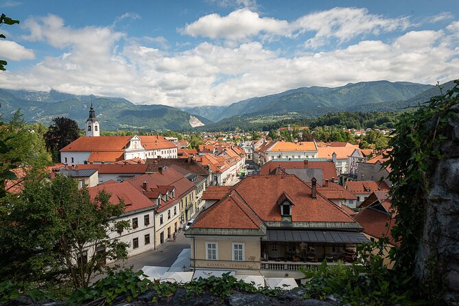 BEER WAY Kamnik Beer Tasting & Brewery Tour - Should you book the Kamnik beer tour?