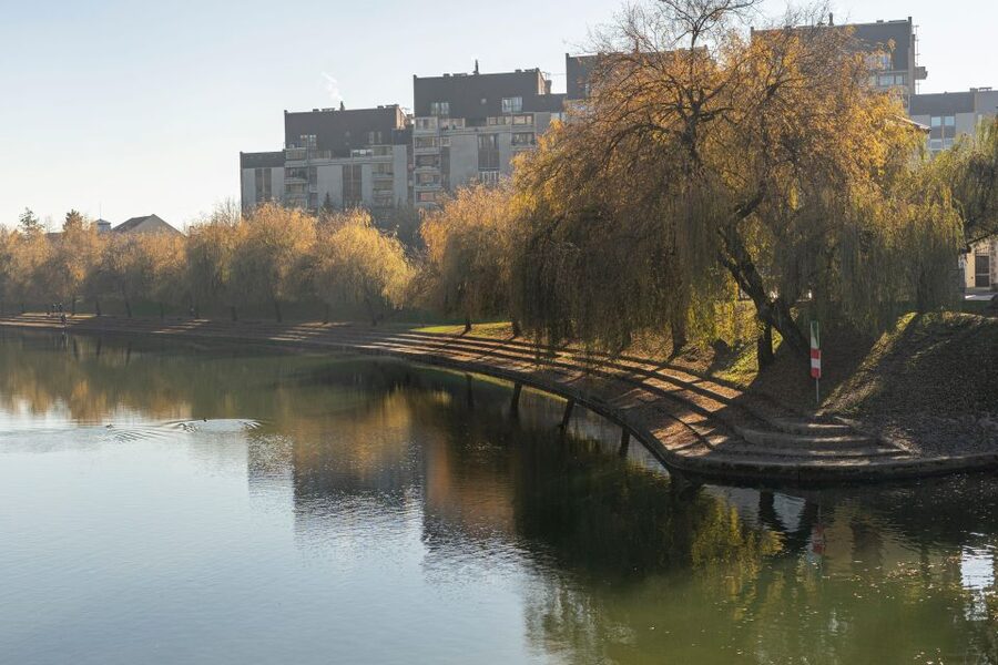 Best of Ljubljana: Private tour with Ljubljana born guide - Town Hall and a look beyond the facade