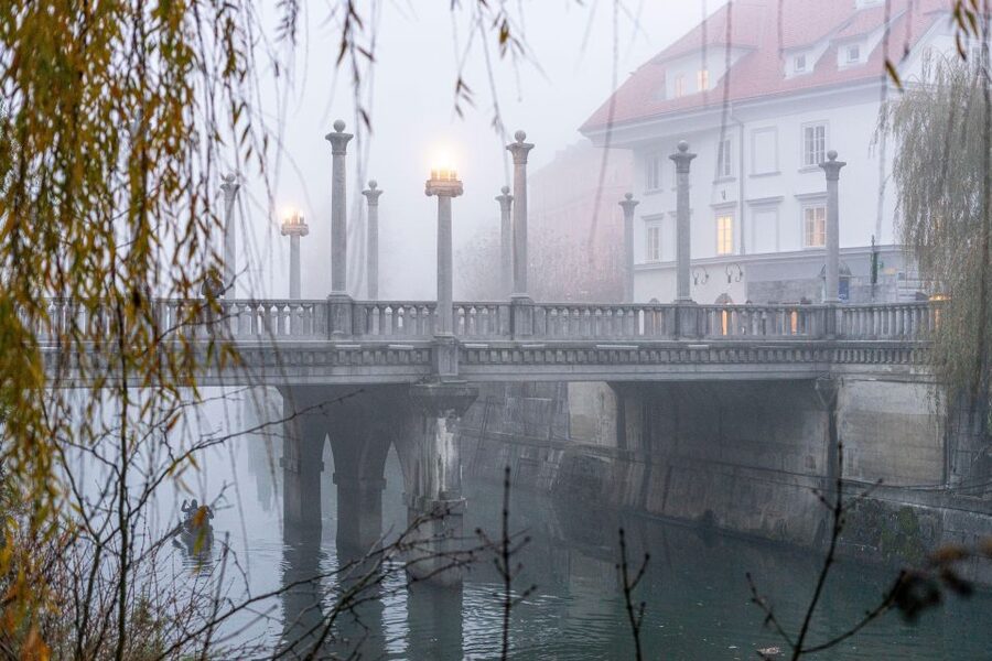 Best of Ljubljana: Private tour with Ljubljana born guide - Central Market, with tastes along the way