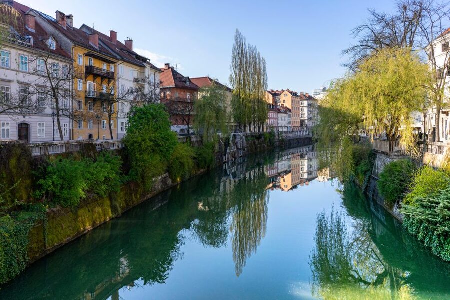 Best of Ljubljana: Private tour with Ljubljana born guide - Cathedral and the option to follow your interests