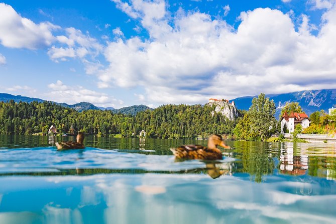 Bled & Bohinj lakes with Skofja Loka | Private trip from Ljubljana - Timing, comfort, and what to pack
