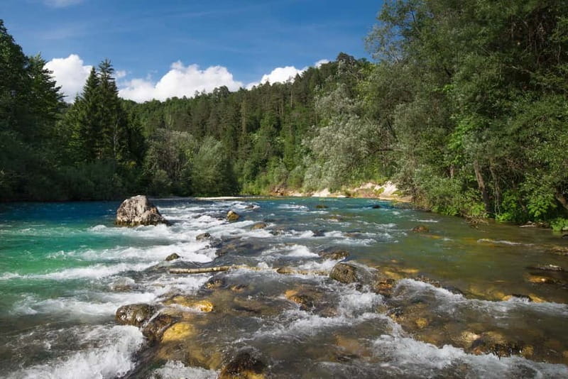 Bled: Europe's Longest Zipline Adventure over Dolinka River - Seven cables, seven views of the Sava Dolinka River