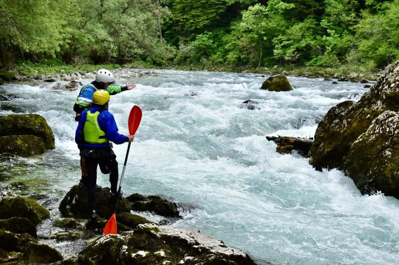 Bled: kayaking trip on the river Sava - Six kilometers of alpine river scenery