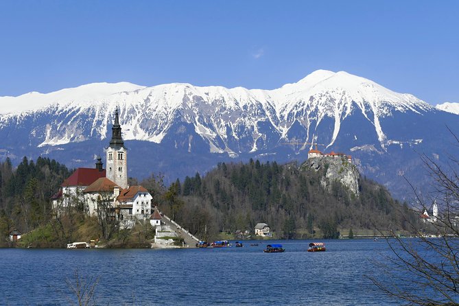 Bled Lake Day Trip From Ljubljana - The famous Bled cake stop