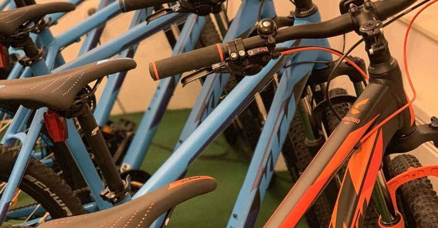 Bled: Mountain Bike Rental - Why the all-day rental works well around Lake Bled