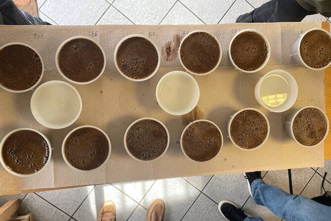 Coffee Sensory Training in Ljubljana - Arriving at Dunajska c. 61 at 10:00 am