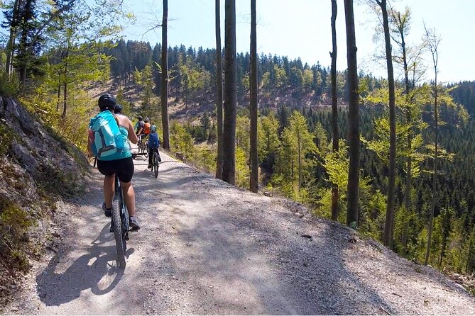 E-bike tour Škofja Loka - Returning through Javorje at 3:00 pm