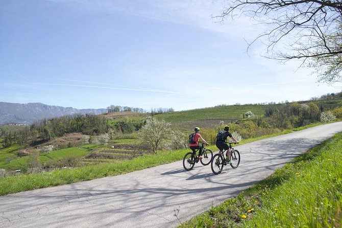 E-bike Vipava River Tour - What the scenery and riding feel like