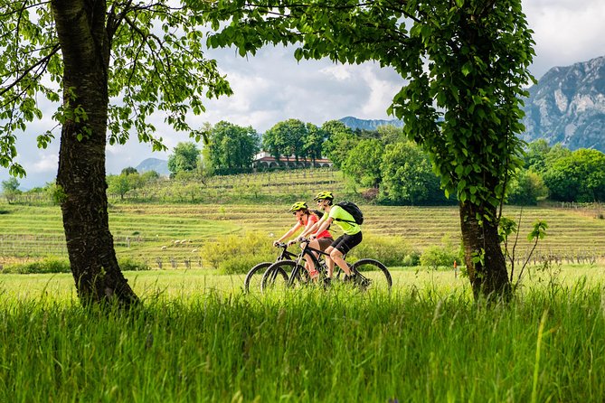 E-bike Vipava River Tour - Stop one: coffee and stone walls in Vipavski Križ