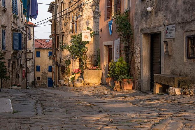 Flavours of Istria Tasting Experience from Koper - Price, group size, and the value of convenience