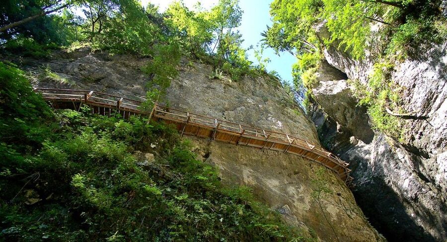 From Bled: Half-Day Pokljuka Gorge Trail Hike (Private) - Key points to know before booking