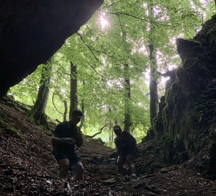 From Bled: Half-Day Pokljuka Gorge Trail Hike (Private) - Why choose Pokljuka over another Bled outing?