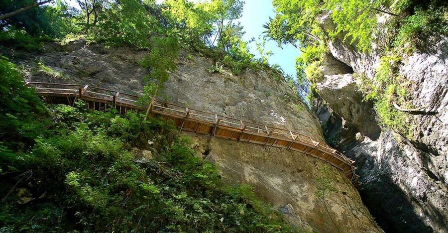 From Bled: Half-Day Pokljuka Gorge Trail Hike (Private) - Entering the small gorge and forest