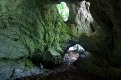 Half-Day Pokljuka Gorge Trail Hike (Private)