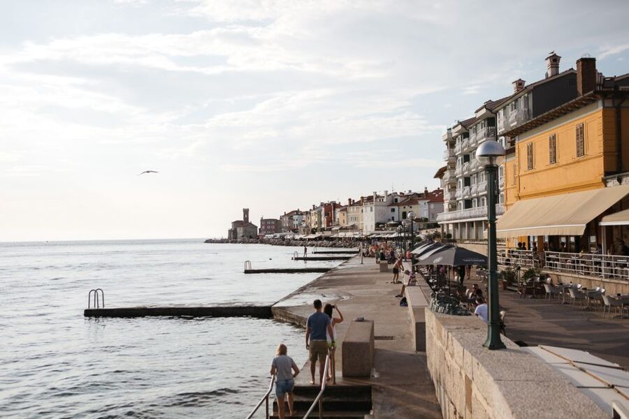 From Koper: Piran Riviera & Local Flavors - Padna and the taste of Slovenian Istria