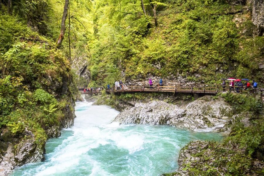 From Ljubljana: Day Trip to Bled and Vintgar Gorge - Lunch in an Alpine restaurant
