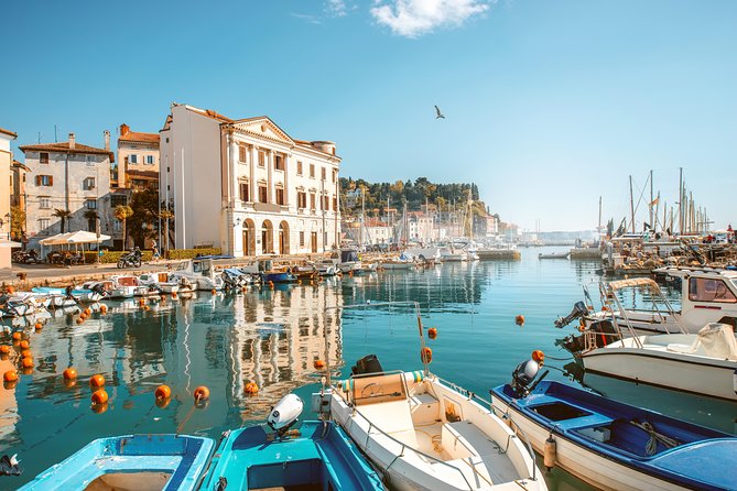 From Ljubljana: Piran Half day tour - The guides are a major part of the value
