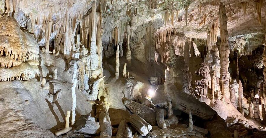 From Ljubljana: Postojna Cave Day Trip - Why Postojna Cave makes a good day trip