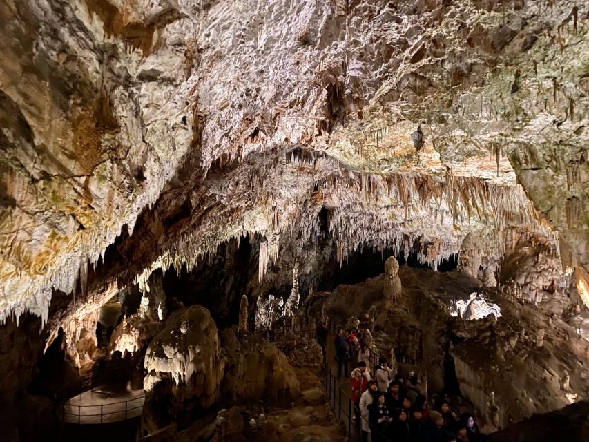 From Ljubljana: Postojna Cave Day Trip - Buying the cave ticket at Postojna