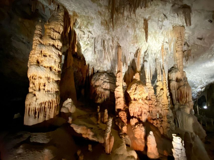From Ljubljana: Postojna Cave Day Trip - Price, cancellation, and practical value