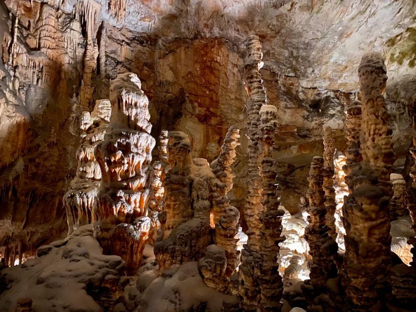 From Ljubljana: Postojna Cave Day Trip - The 8:30 AM pickup and drive from Ljubljana
