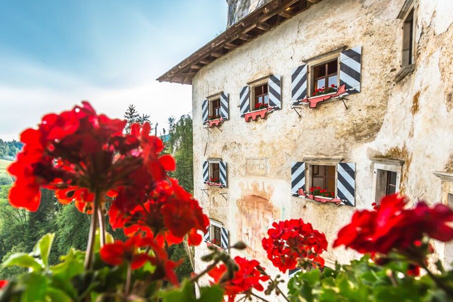 From Ljubljana: Postojna Cave, Predjama Castle and Lake Bled - Key points before you book