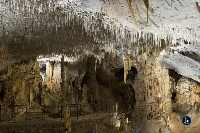 From Ljubljana: Postojna Cave, Predjama Castle, & Piran Tour - Predjama Castle and its remarkable cliff setting