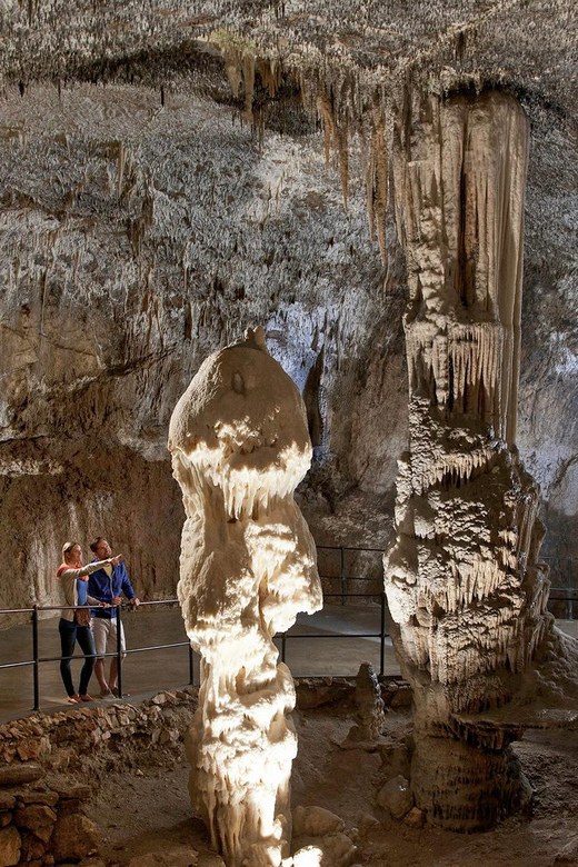 From Ljubljana: Postojna Cave, Predjama Castle, & Piran Tour - Transport, timing, and the small-group advantage