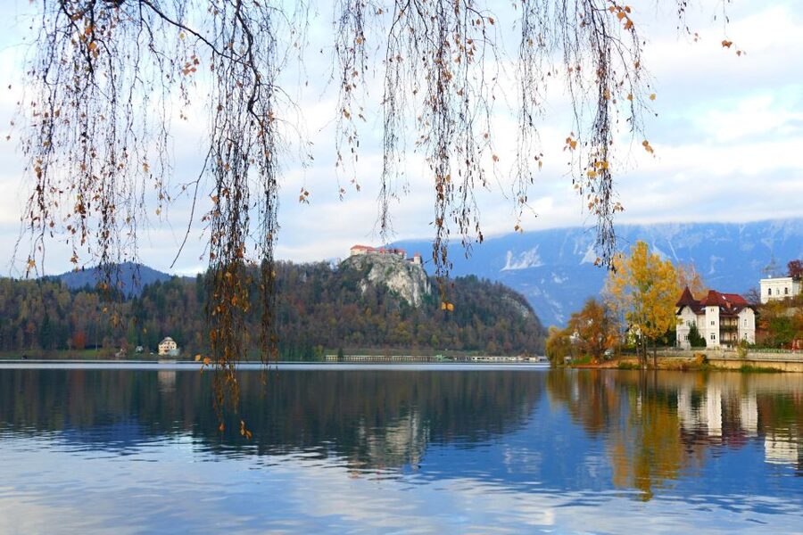 From Ljubljana: Private Bled Lake Day Trip - Choosing the Pletna boat and Island Church