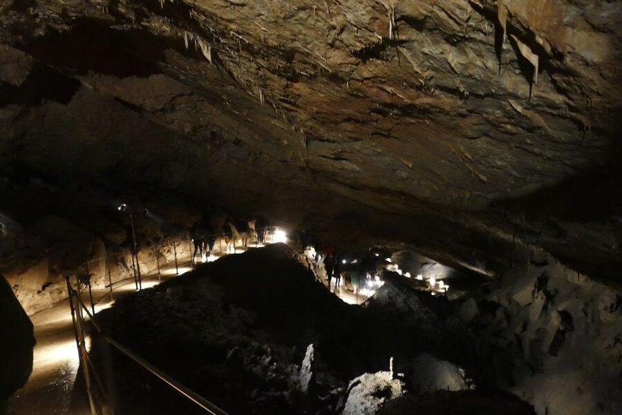 From Ljubljana: Skočjan Caves Half-Day Trip - Leaving Ljubljana at 8:30 AM