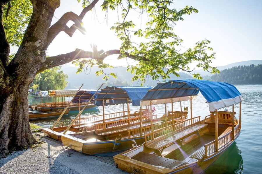 From Ljubljana: Trip to Lake Bled and Bled Castle - Best season and departure time