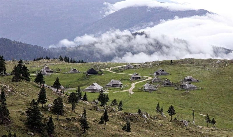 From Ljubljana: Velika Planina Guided Hike - Why Velika Planina makes a good escape from Ljubljana
