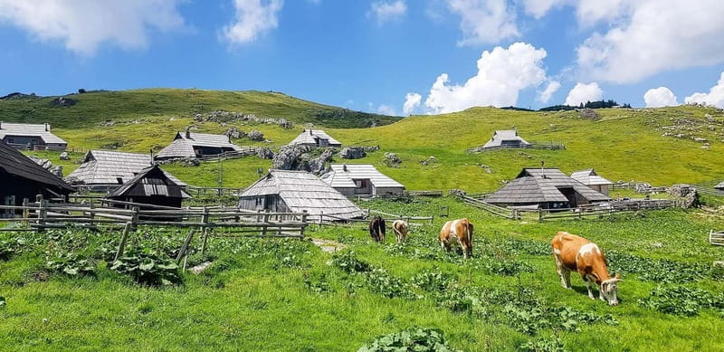 From Ljubljana: Velika Planina Guided Hike - The one-hour drive into the Kamnik-Savinja Alps