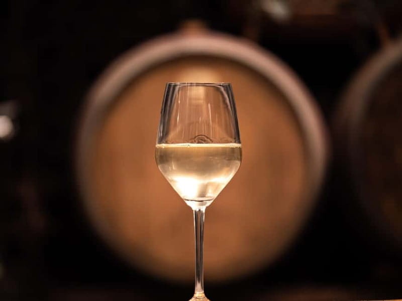 From Ljubljana: Vipava Valley Wine Express Tour - Why Vipava Valley makes a fine wine destination
