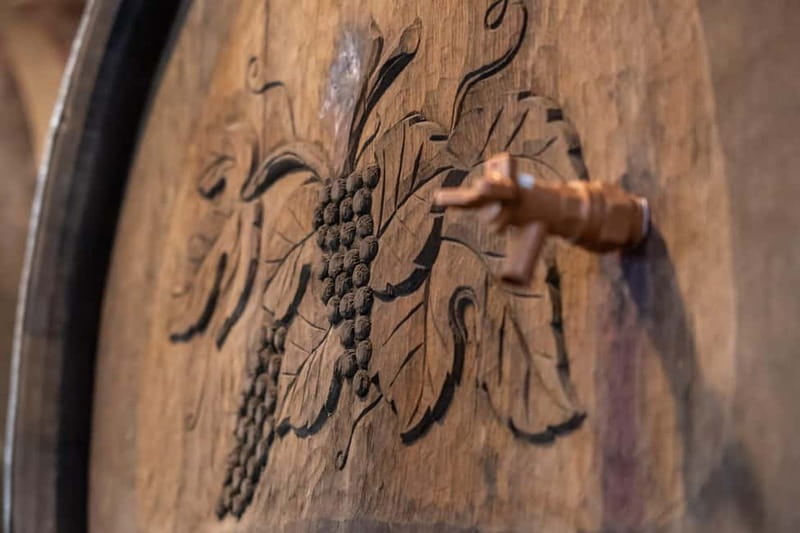 From Ljubljana: Vipava Valley Wine Express Tour - The first winery: old cellars and family character