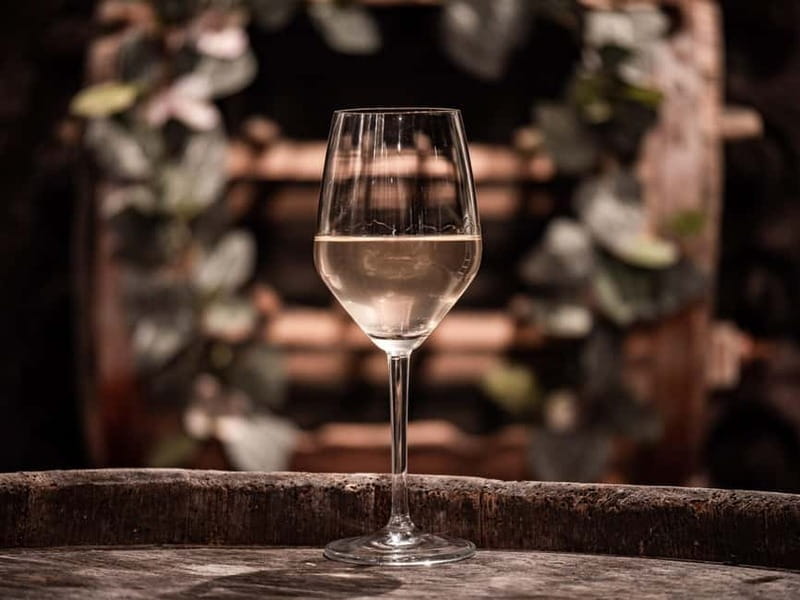 From Ljubljana: Vipava Valley Wine Express Tour - The second winery: a different look at Vipava wine