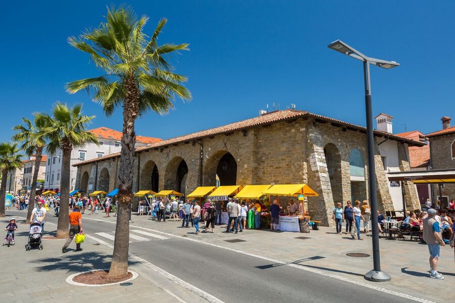 From Trieste: Piran and Slovenia Coast Tour - A scenic drive through Portorož, Izola, and Koper