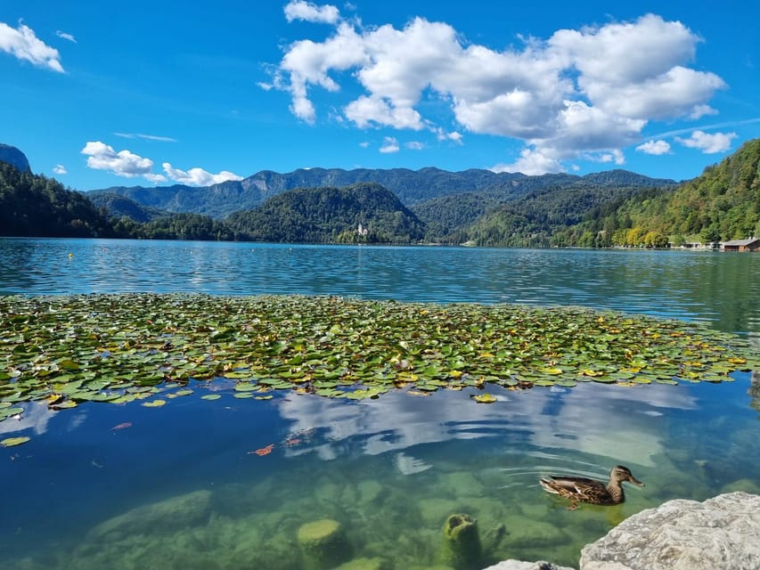 From Zagreb: Highlights Day Tour to Bled and Ljubljana - Why this Zagreb day trip works