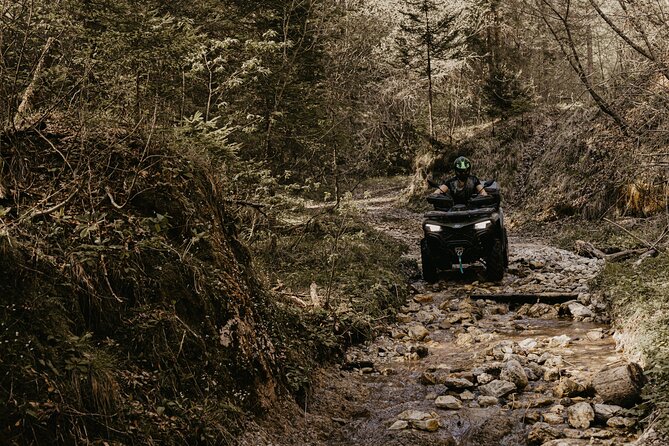 Full-Day Quad Rental in Bled - Is $168.20 good value for two people?