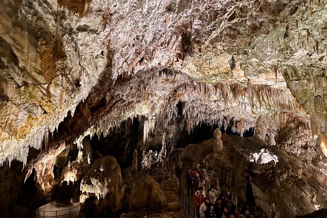 Full-day tour of Postojna Cave and Bled Lake From Ljubljana - Is $200 a fair price?