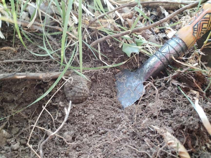 Gažon to Istria: Truffle Hunting, Cooking & Tasting - Cooking Istrian fuži under the pergola